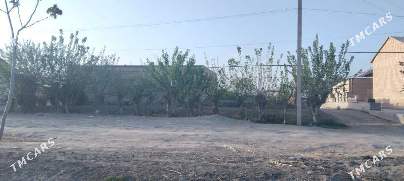 Mellek 25 sotuk - Саят - img 1