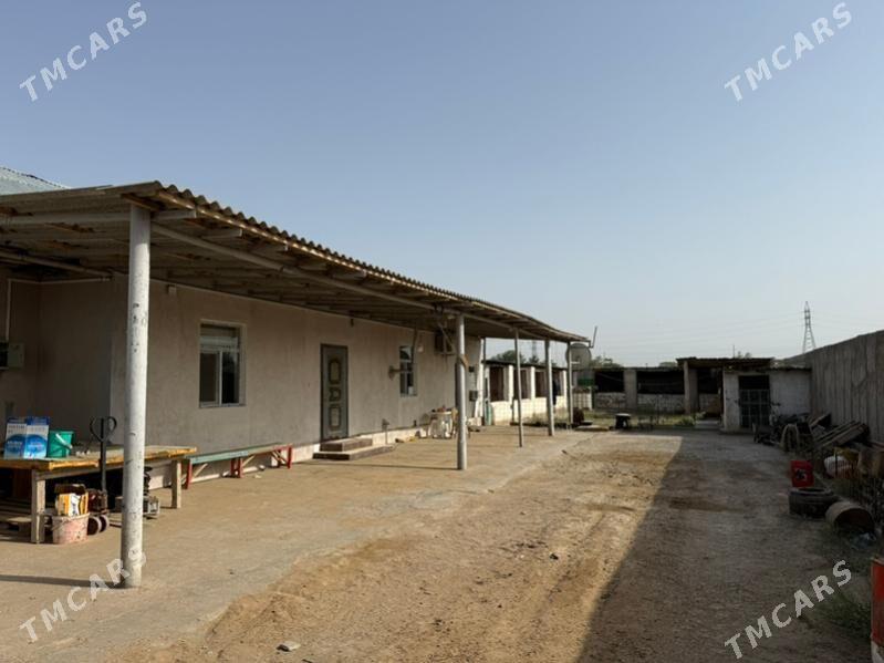 Anew geolog daca - Ак-Бугдайский этрап - img 1