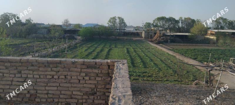 Mellek 25 sotuk - Саят - img 3