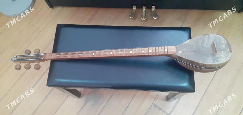 plektra dutar we prima dutar - Atatürk köç. - img 4