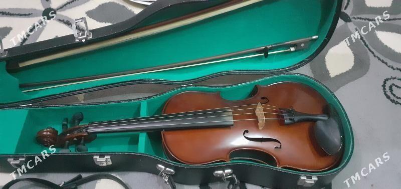 alt skripka 16 - Улица Ататурка - img 2