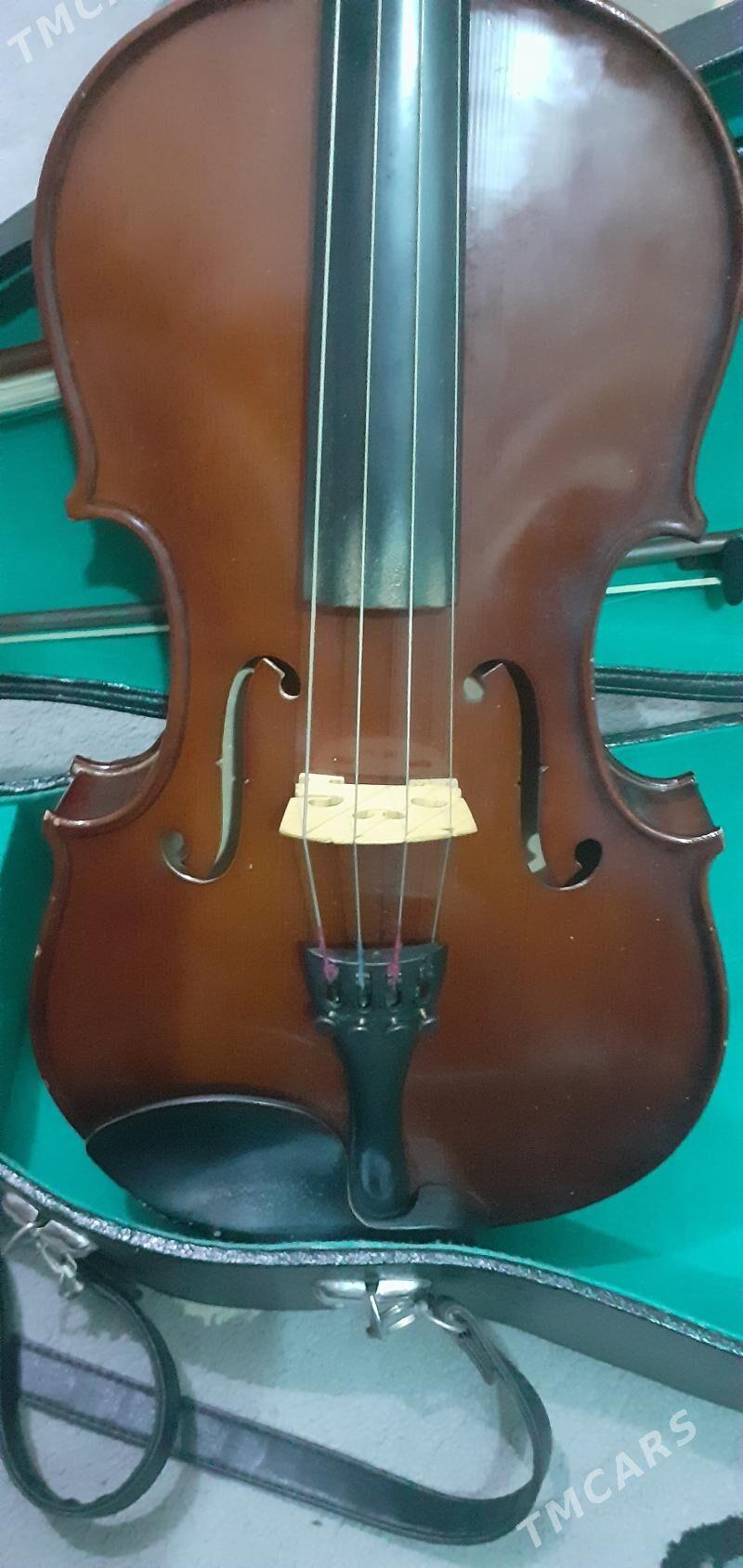 alt skripka 16 - Улица Ататурка - img 3