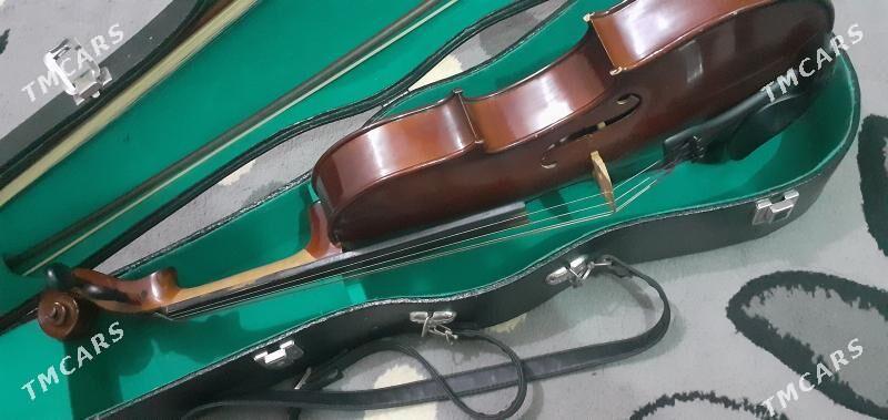 alt skripka 16 - Улица Ататурка - img 4