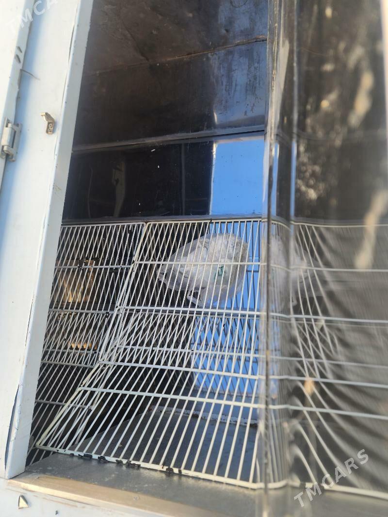 holodinnik nirzaweyka - Bagyr - img 6