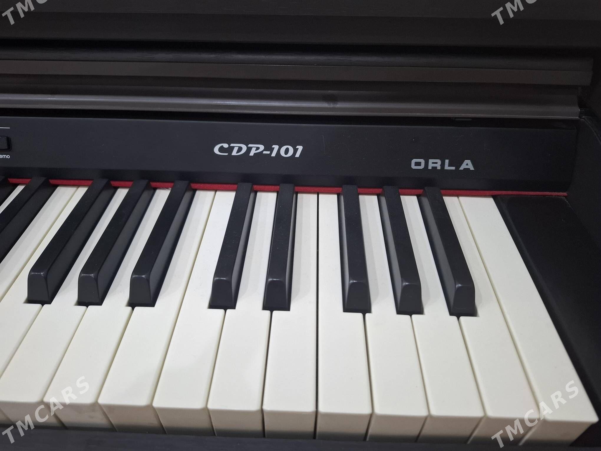 pianino ORLA итальянский - Änew - img 2