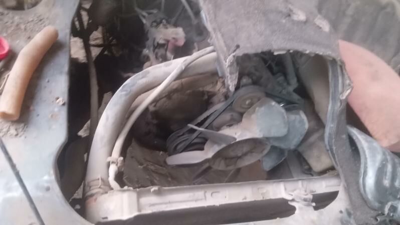 Tawn ace Zapjast 100 TMT - Gurbansoltan Eje - img 2