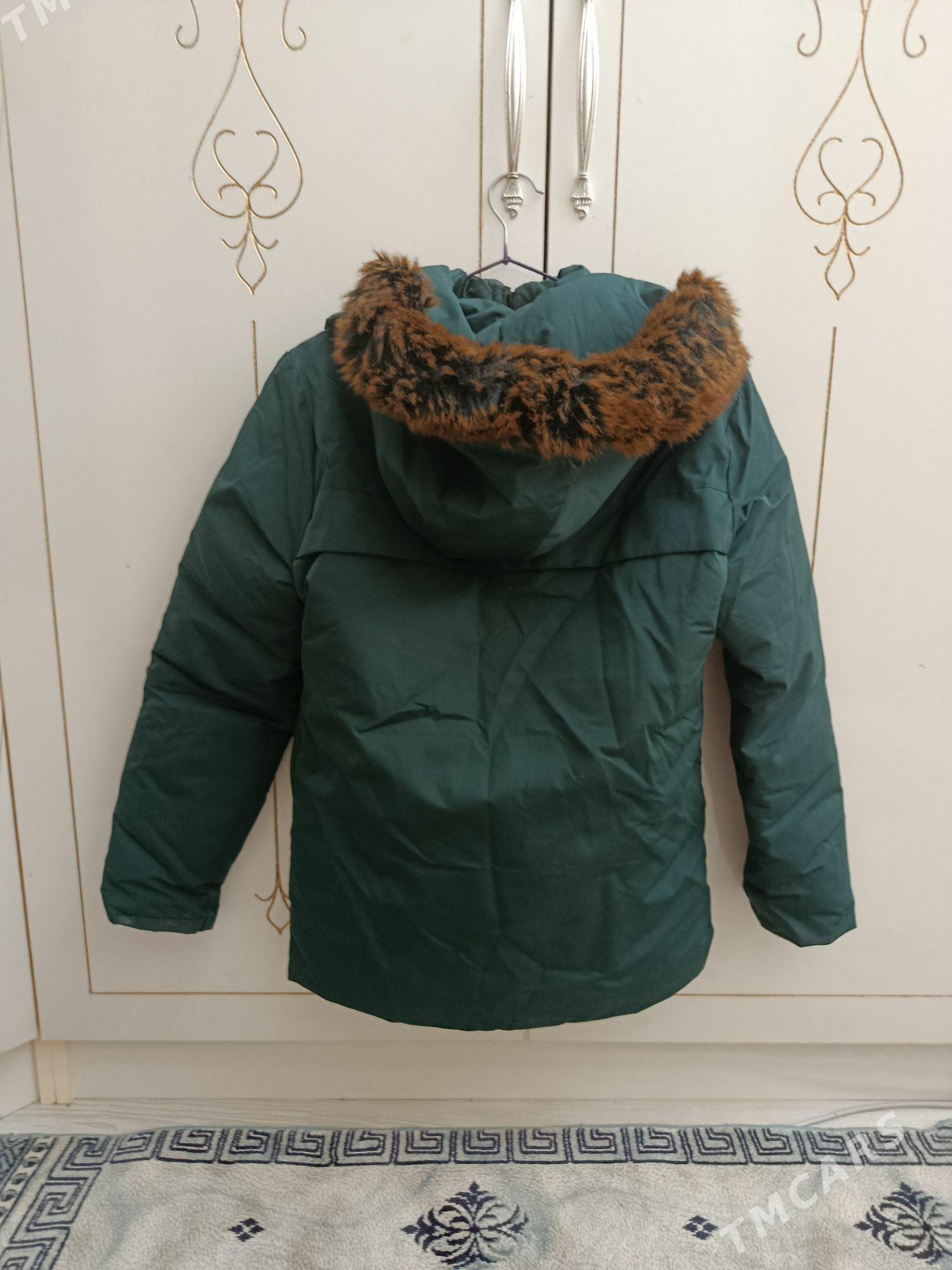 Kurtga 9-10 yaş - Daşoguz - img 2