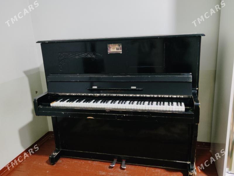 pionina - Mary - img 1