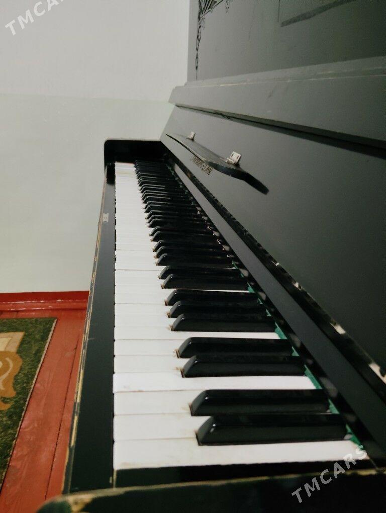 pionina - Mary - img 3