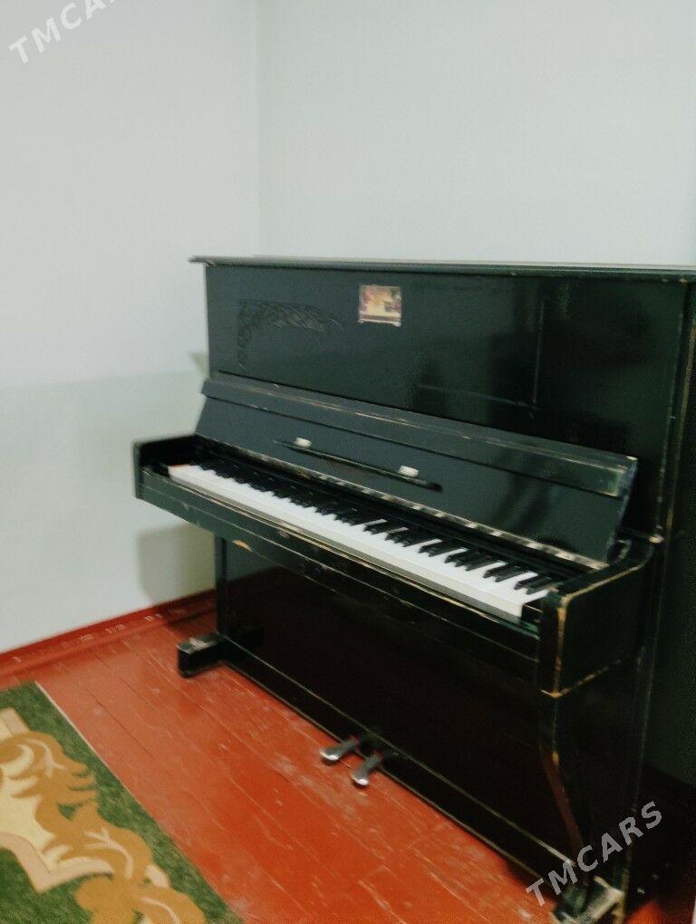 pionina - Mary - img 4