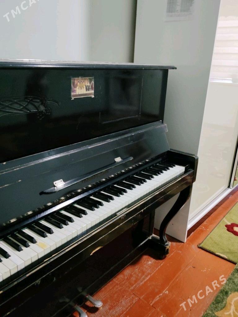 pionina - Mary - img 2