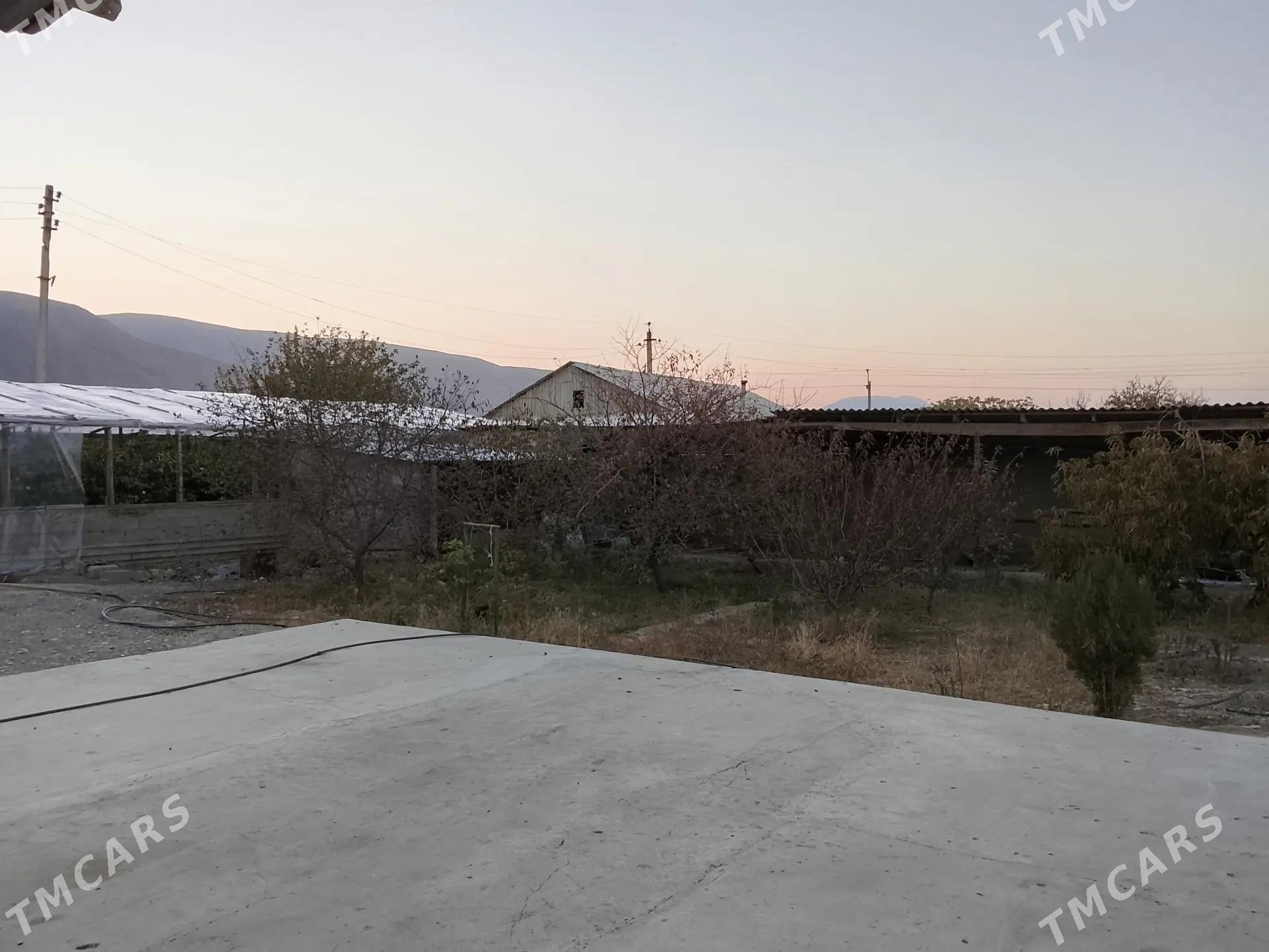 satlyk jay - Гёкдепе - img 5