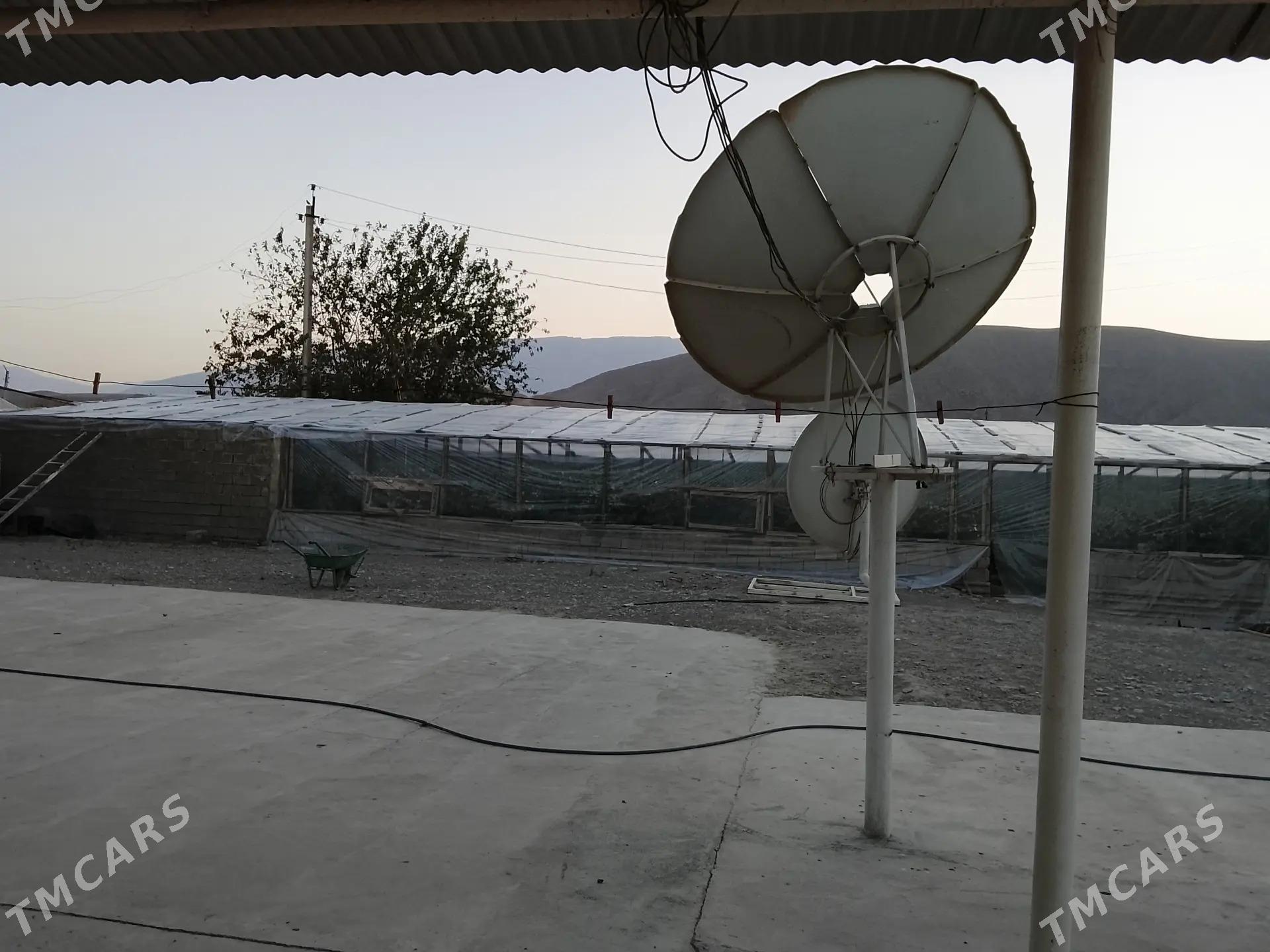 satlyk jay - Гёкдепе - img 4