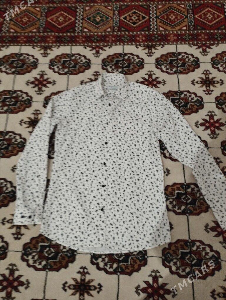 konek balak - Анев - img 1