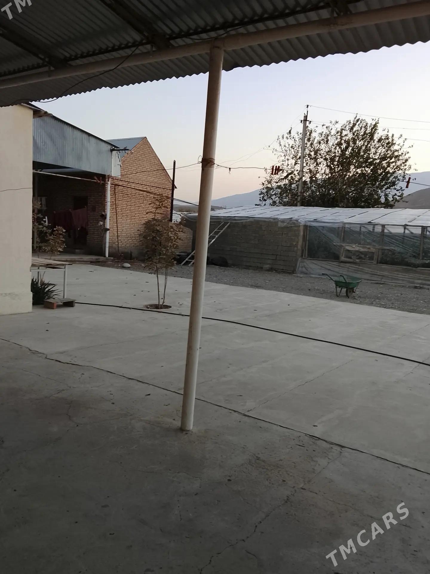 satlyk jay - Гёкдепе - img 8