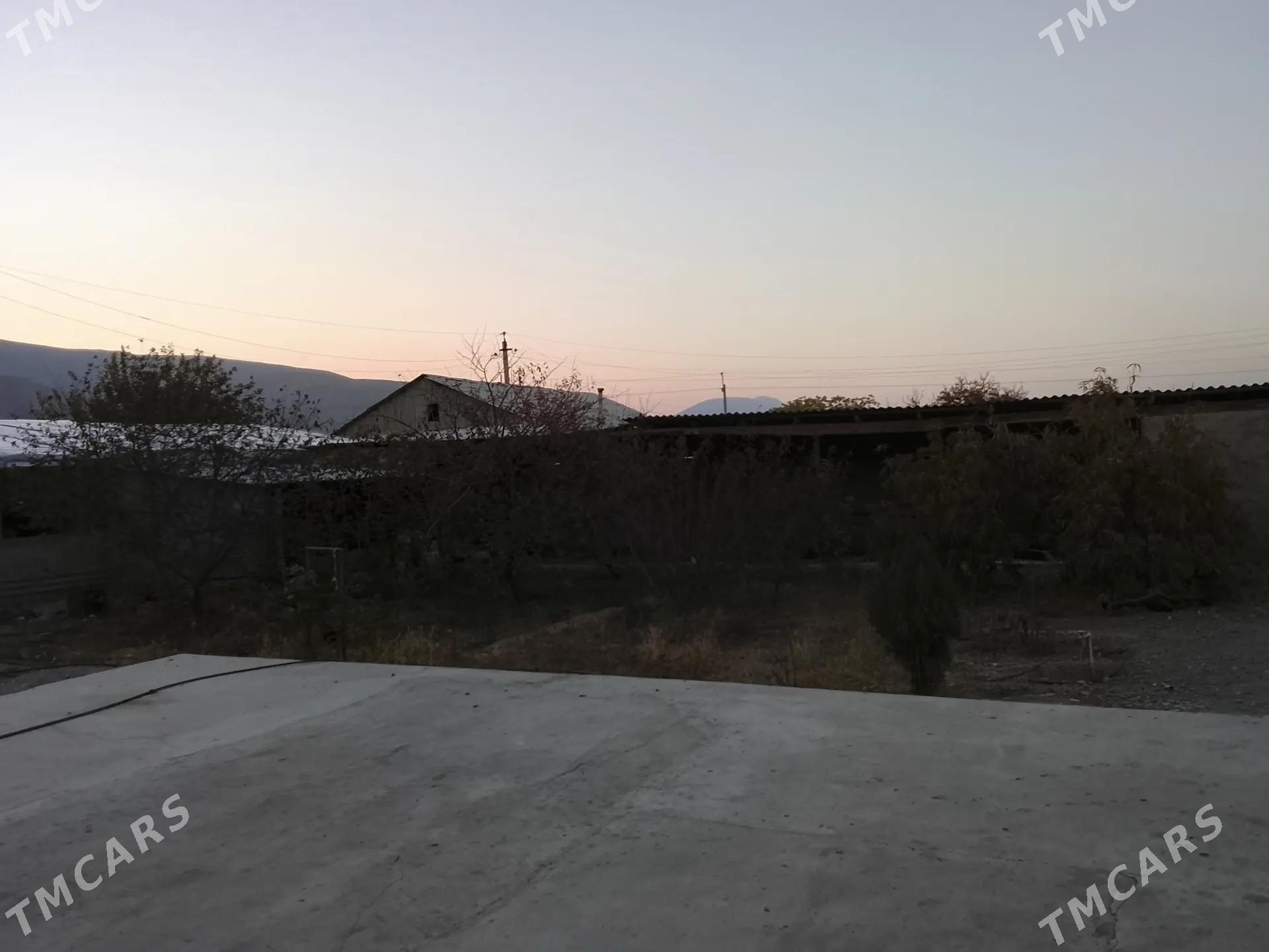 satlyk jay - Гёкдепе - img 6