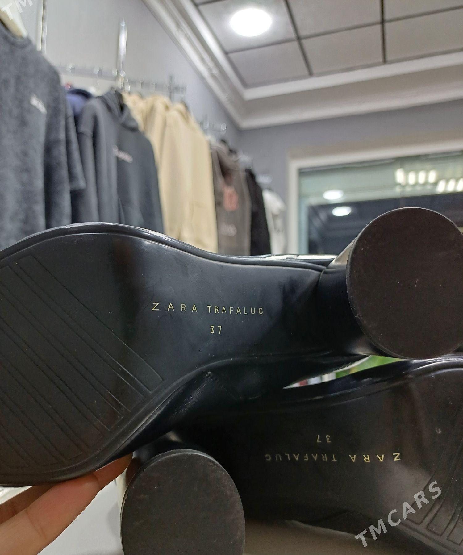 ädik - Daşoguz - img 3