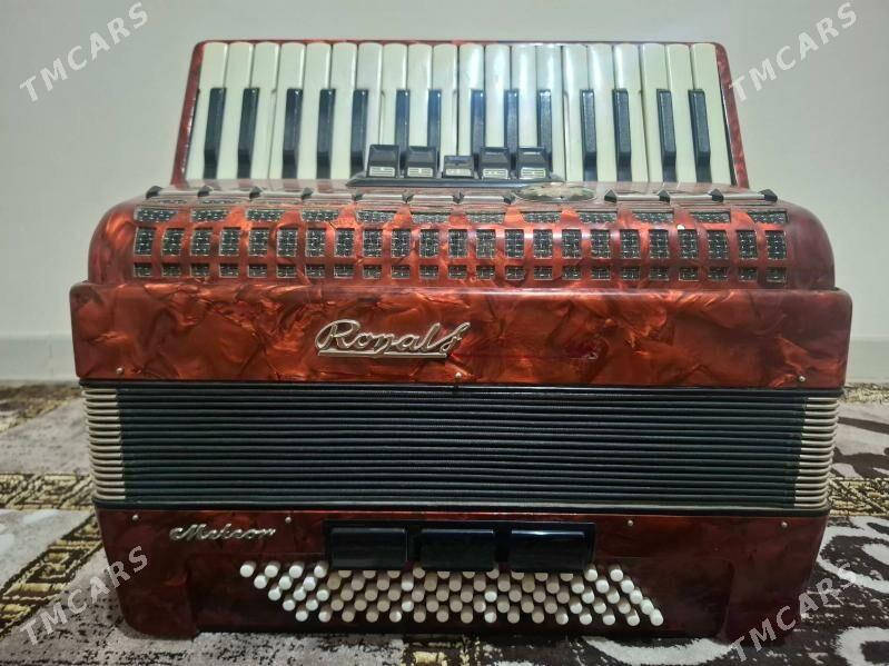 Akkordeon - Аркадаг - img 1