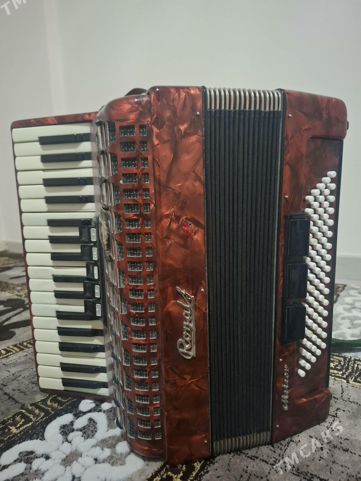 Akkordeon - Аркадаг - img 2