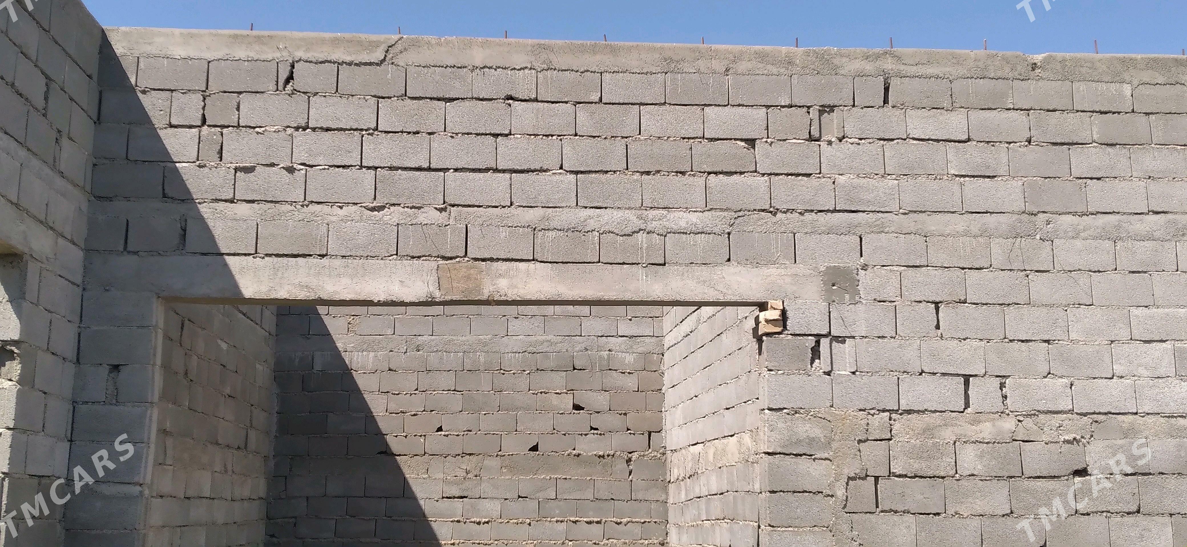 satlyk jay - Кака - img 2