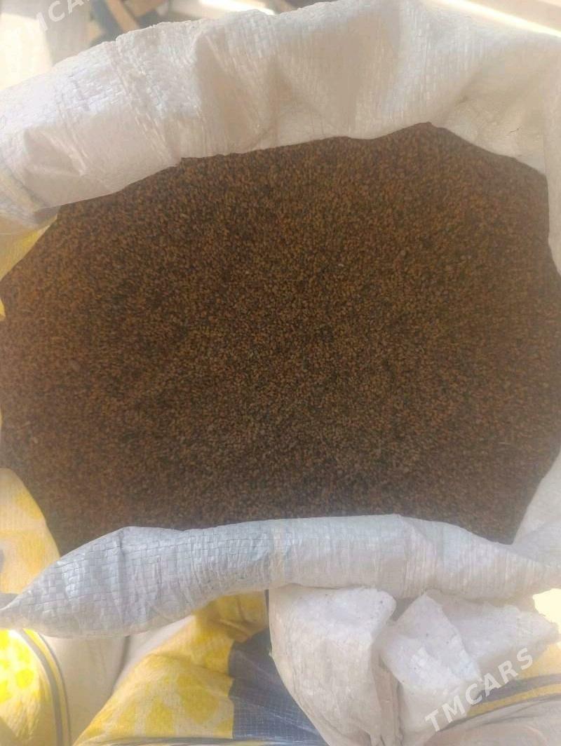 yorunja tohum - Tejen - img 1