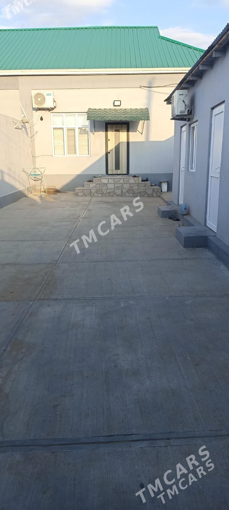 satlyk jay cogonly - Aşgabat - img 5