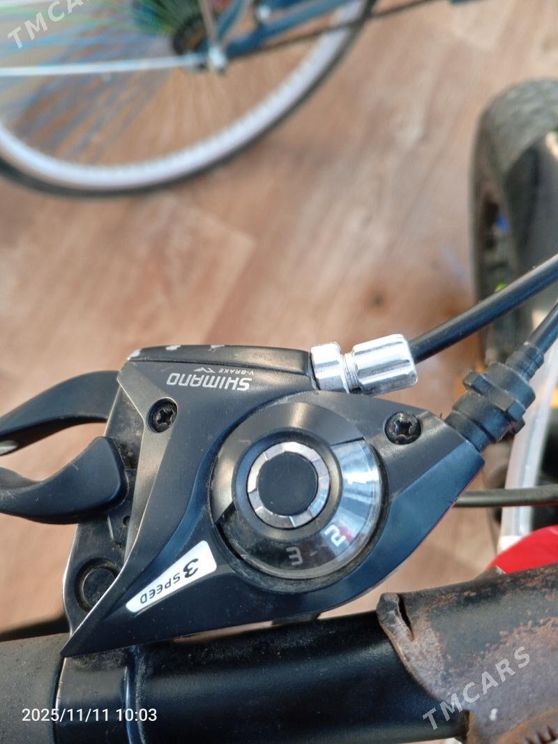 тигир - Türkmenabat - img 5