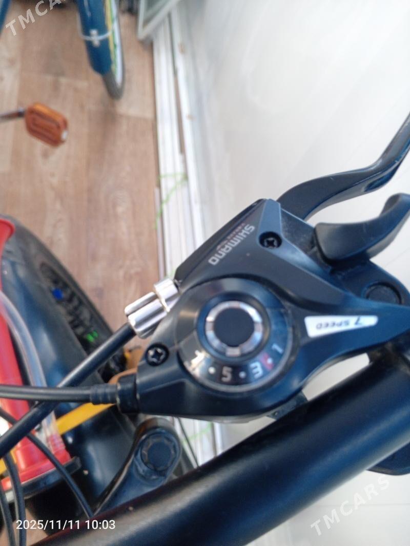 тигир - Türkmenabat - img 4