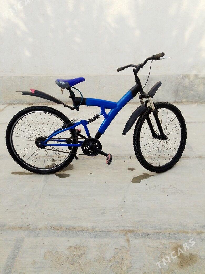 spartiwny welsopet - Мары - img 2