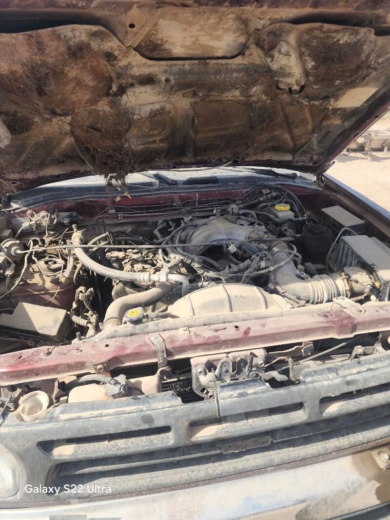 patfindir - Гороглы (Тагта) - img 2