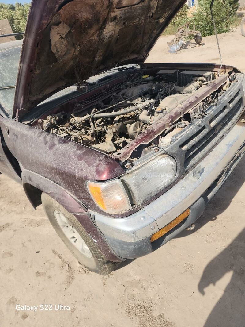 patfindir - Гороглы (Тагта) - img 1