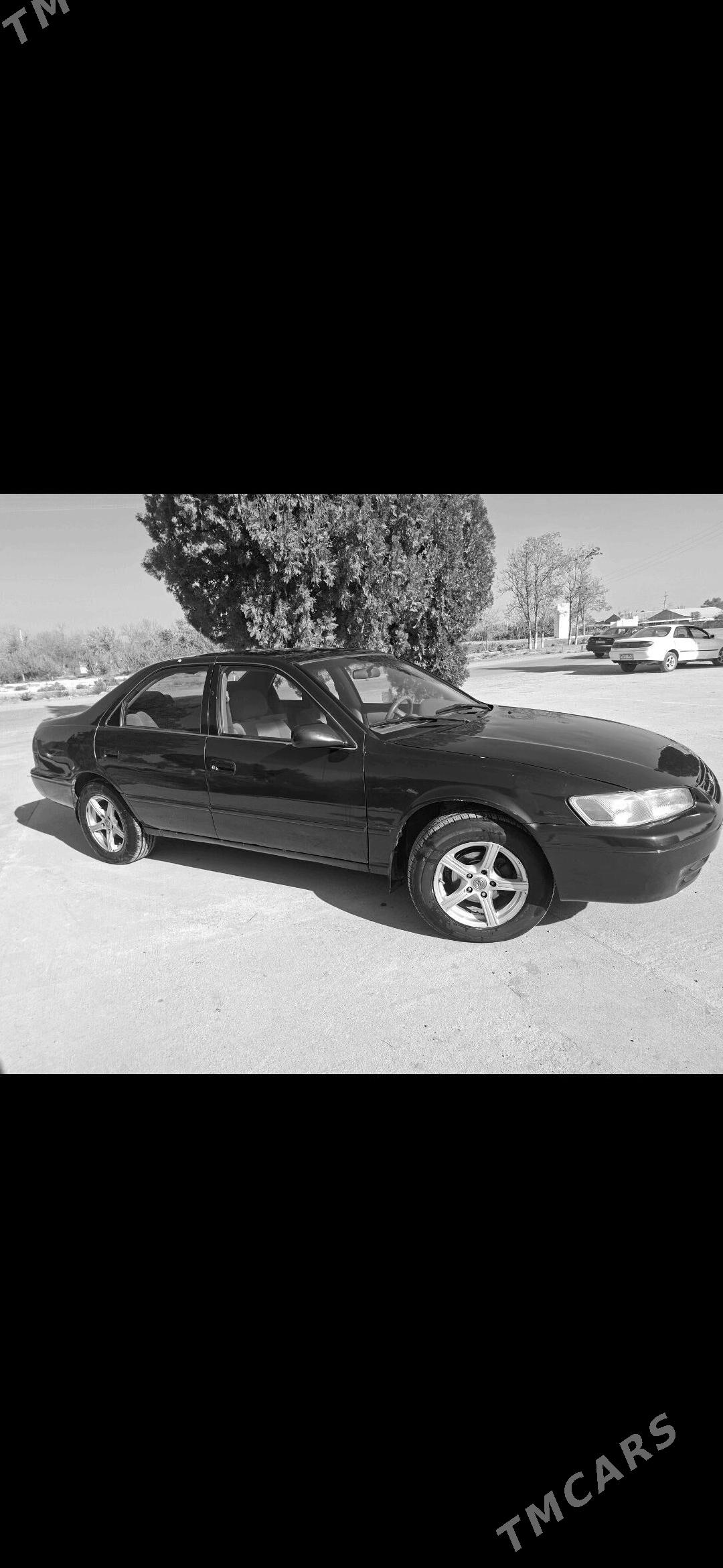 Toyota Camry 1999 - 125 000 TMT - Halaç - img 5