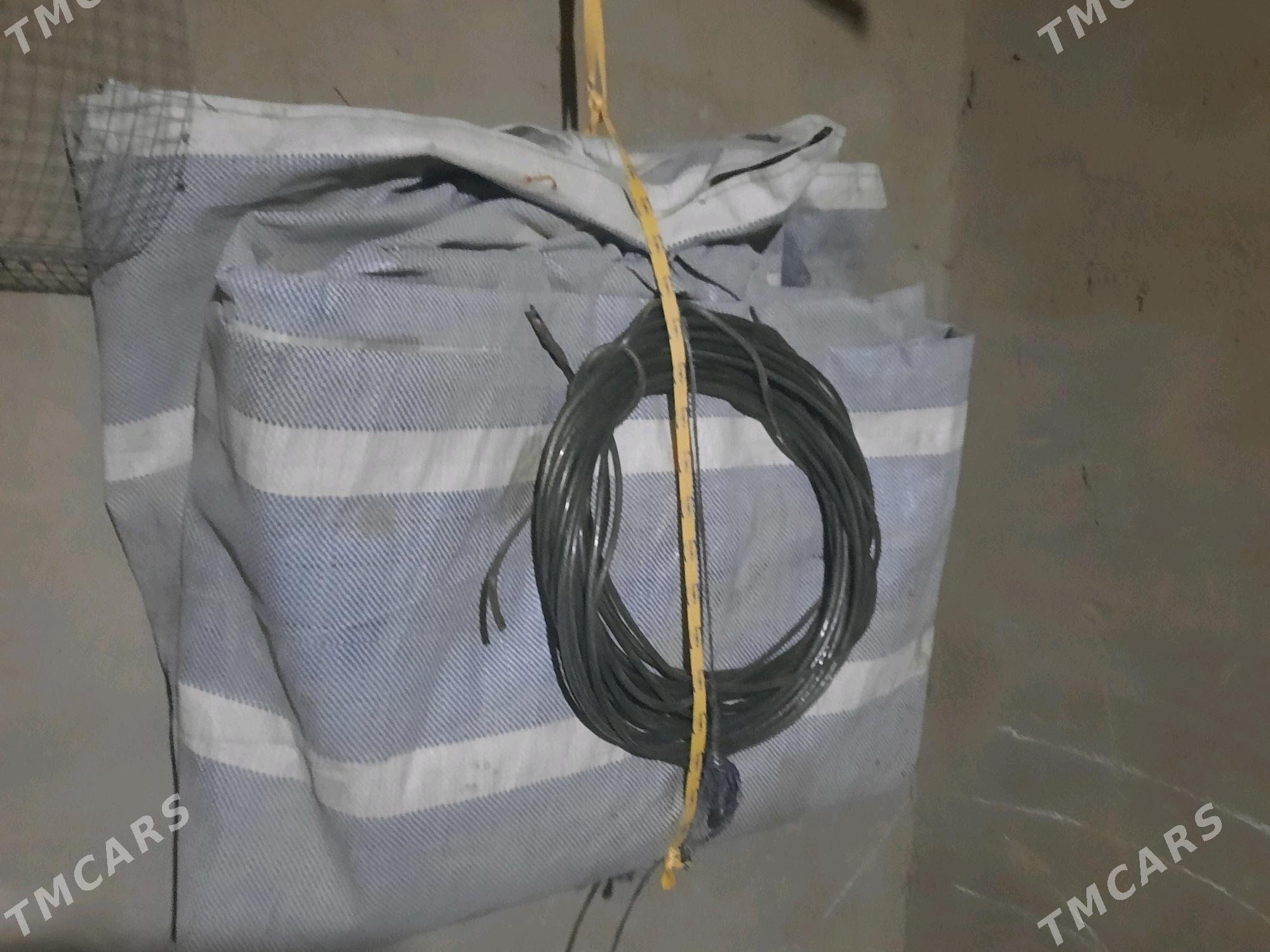 Maz tros - Sakarçäge - img 2