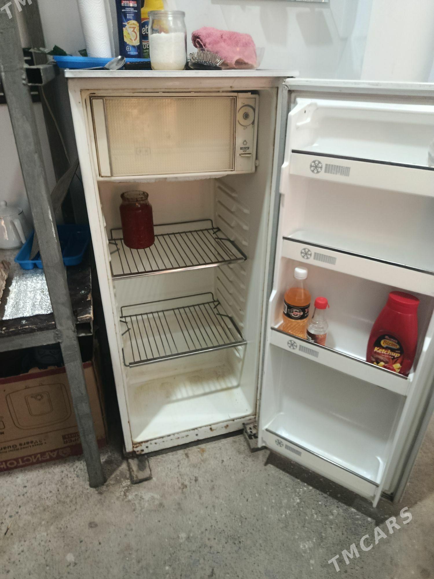 Haladelnik - Bagyr - img 2