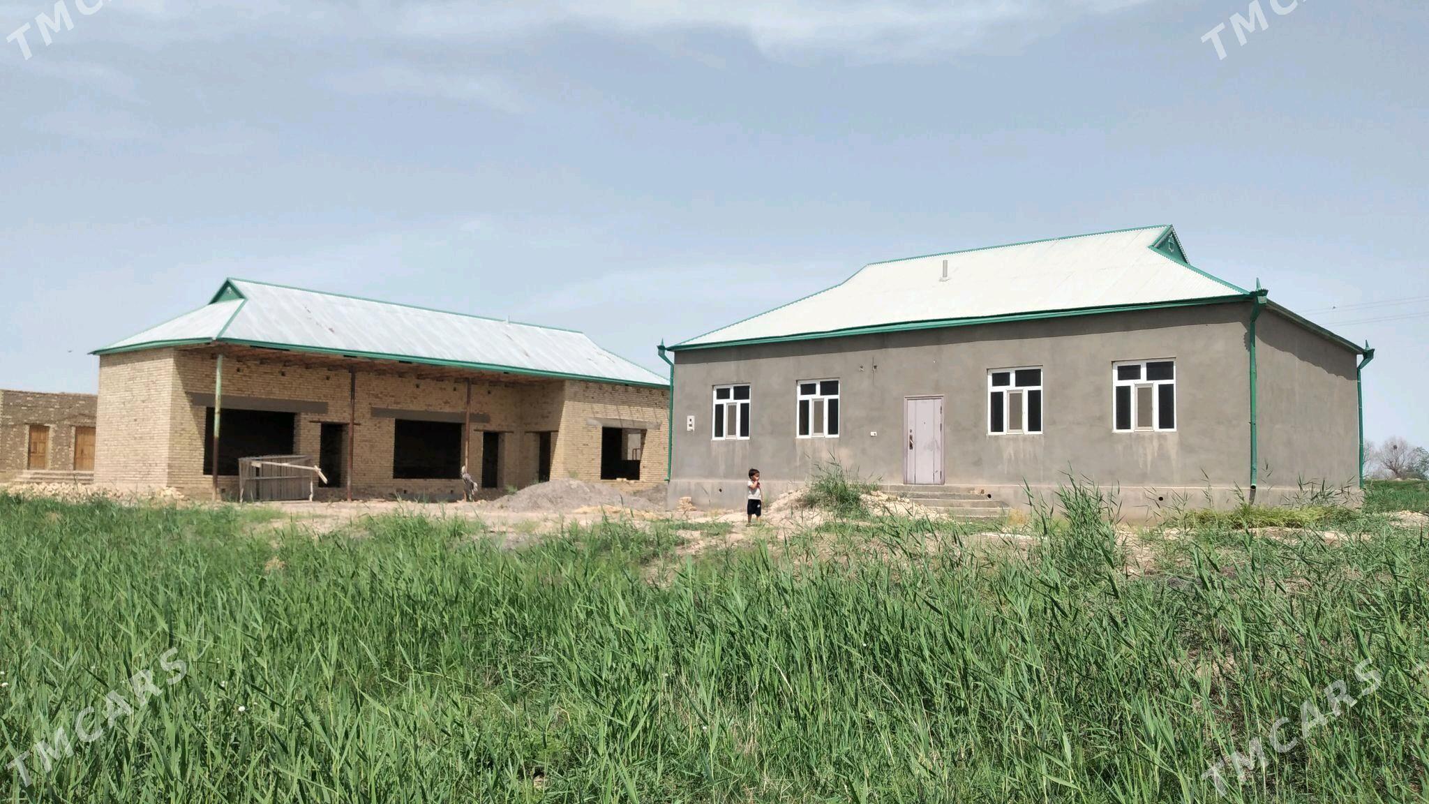 Plan Jay - Ёлётен - img 4