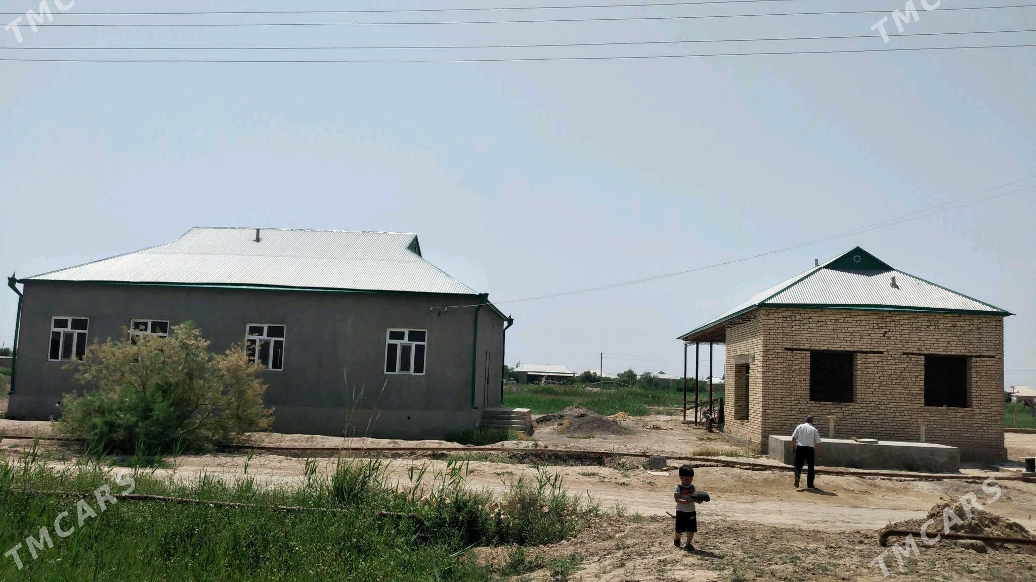 Plan Jay - Ёлётен - img 2