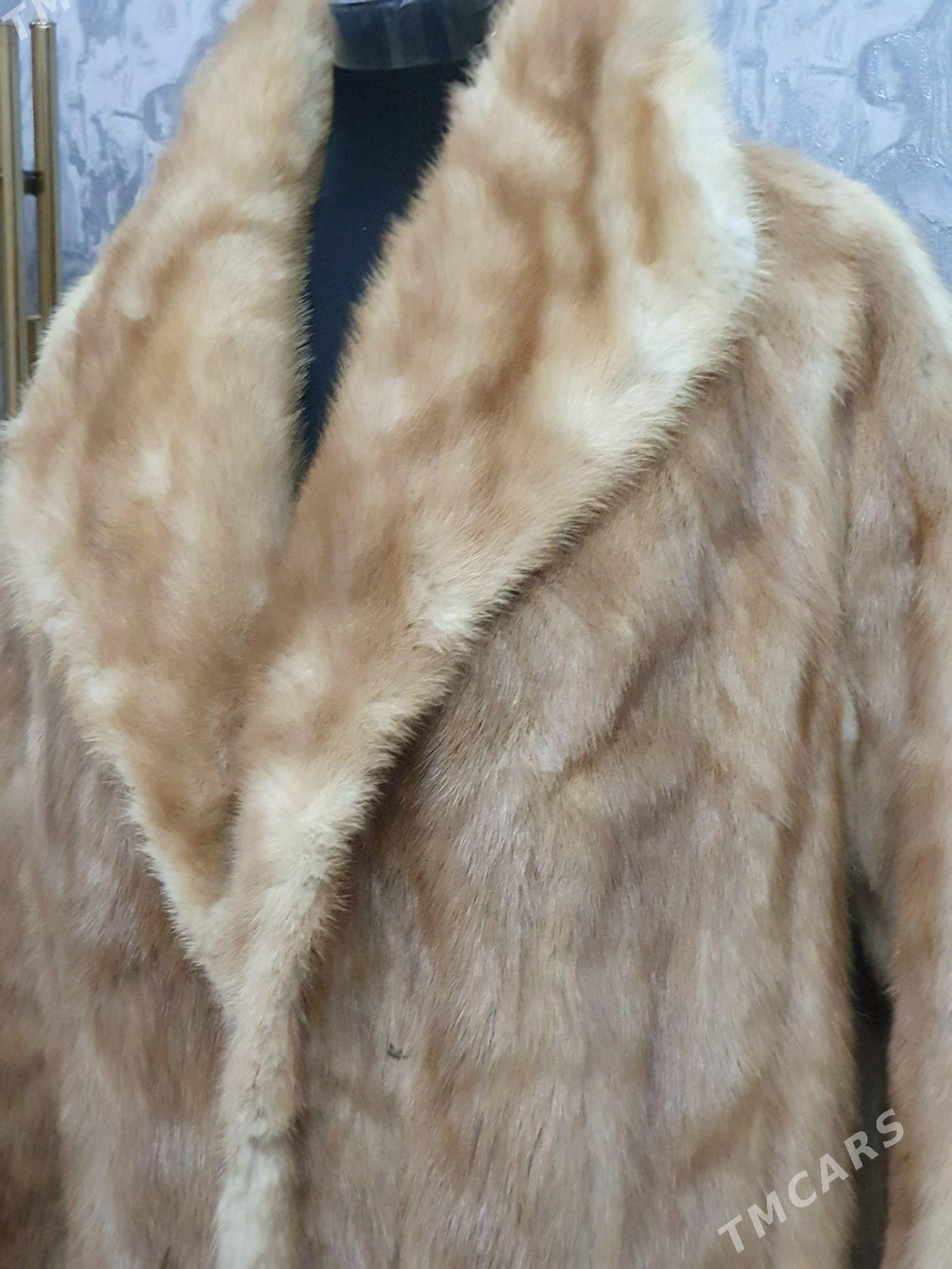 suba - Aşgabat - img 2