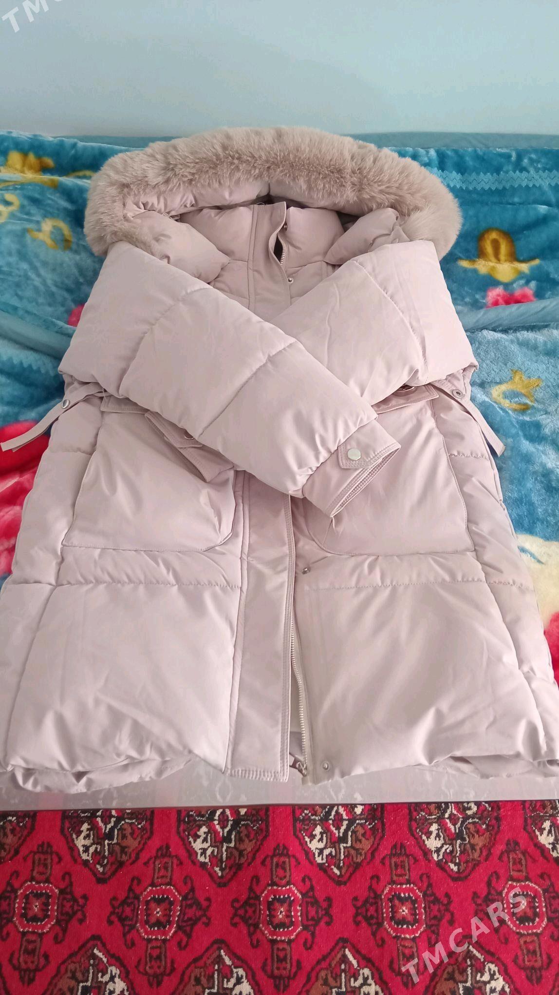 kurtka taza - Türkmenabat - img 2