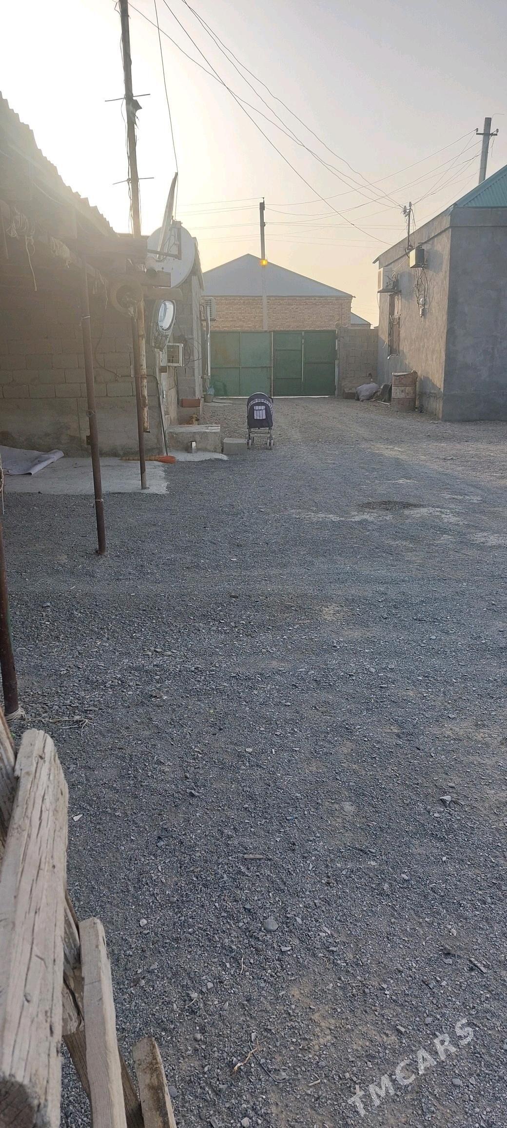 Baherden jay - Бахарден - img 4