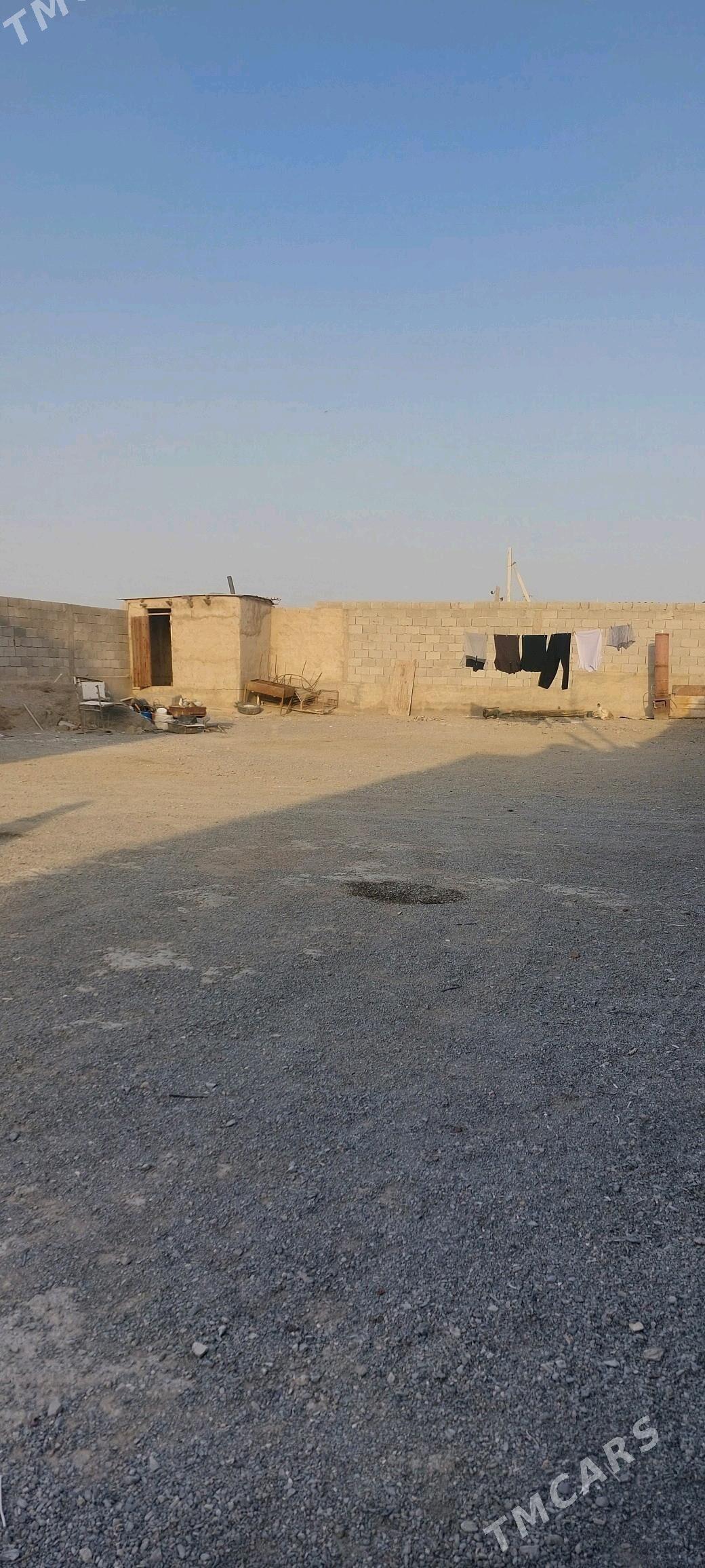 Baherden jay - Бахарден - img 5