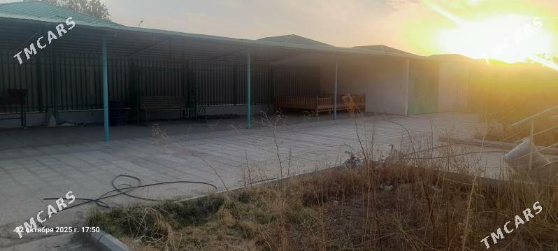 ️️Täze zaman ️️ - Тязе заман - img 3