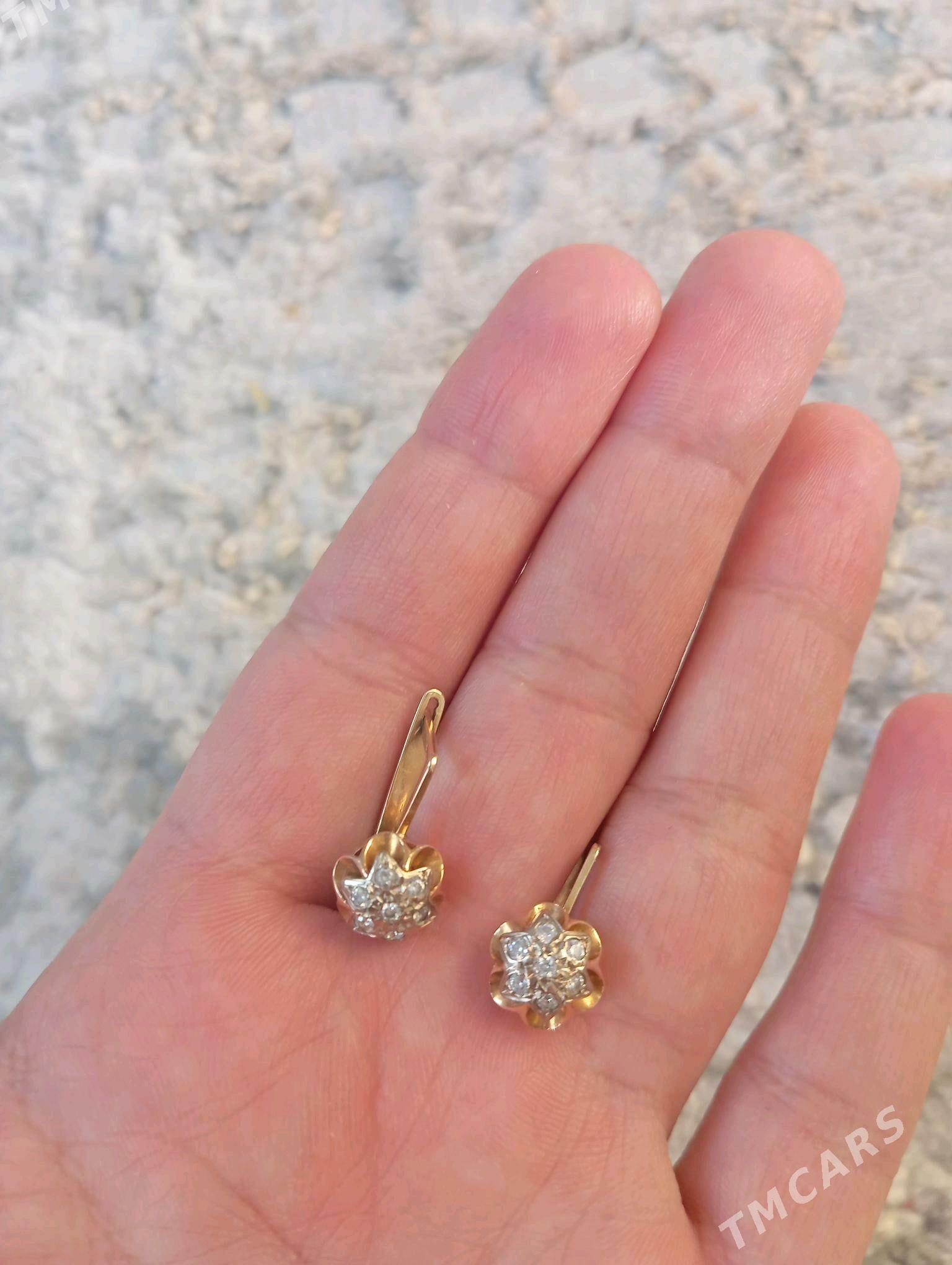 gyzyl gulakhalka - Köşi - img 2