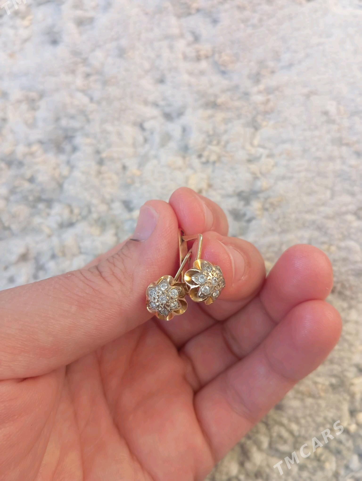 gyzyl gulakhalka - Köşi - img 3