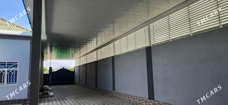 Ânew   howli - Änew - img 2