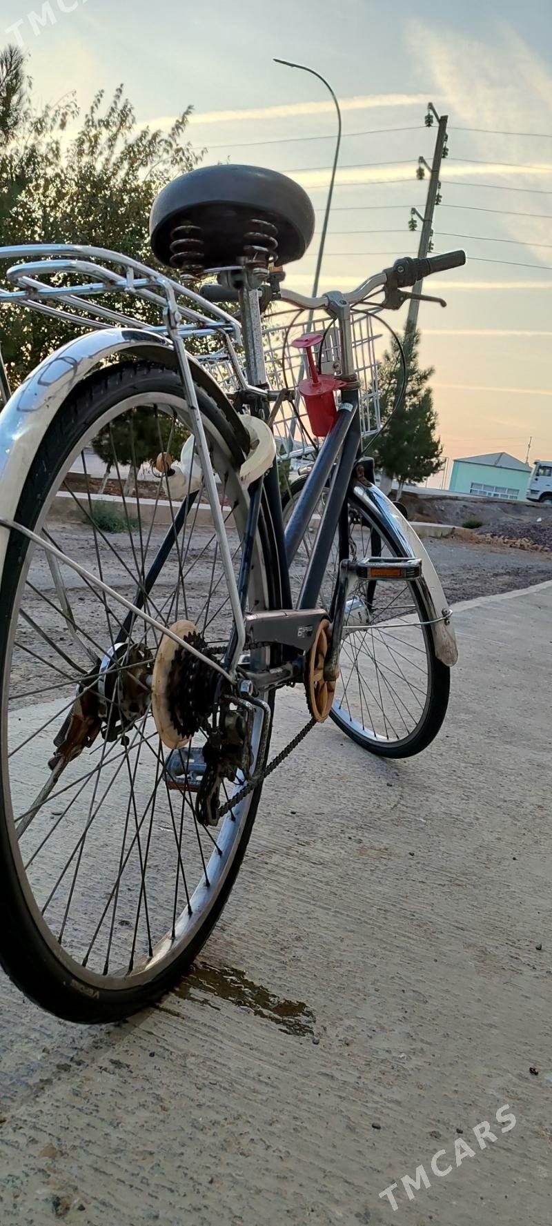 tigir 26 - Мары - img 2