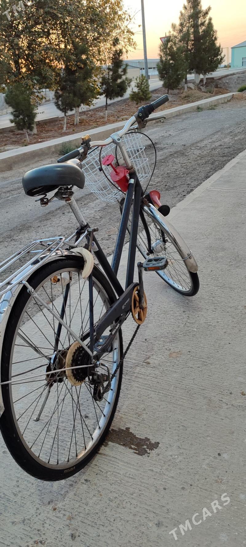 tigir 26 - Мары - img 3