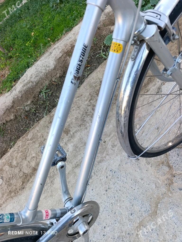 velik 27 - Mary - img 8