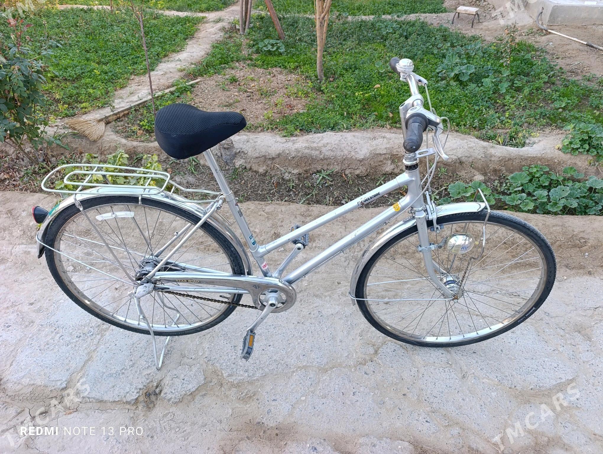 velik 27 - Mary - img 2