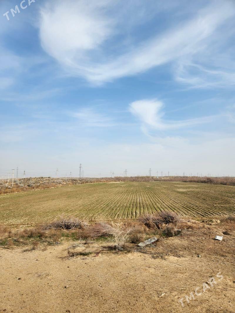 ekin mal yatak - Ашхабад - img 3