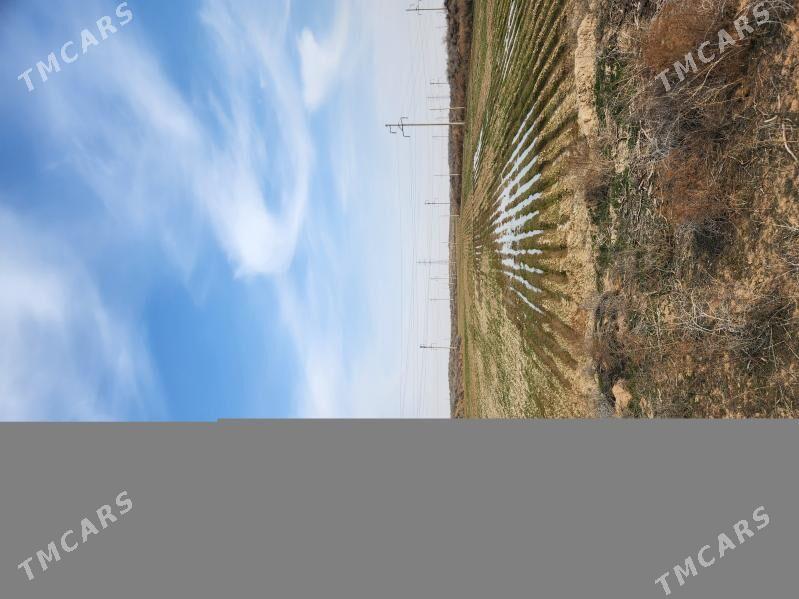 ekin mal yatak - Ашхабад - img 2